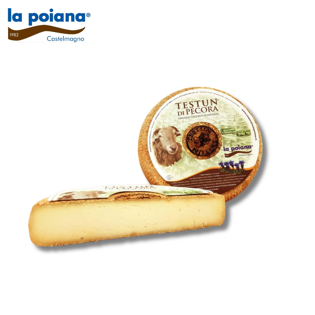 Testun di Pecora